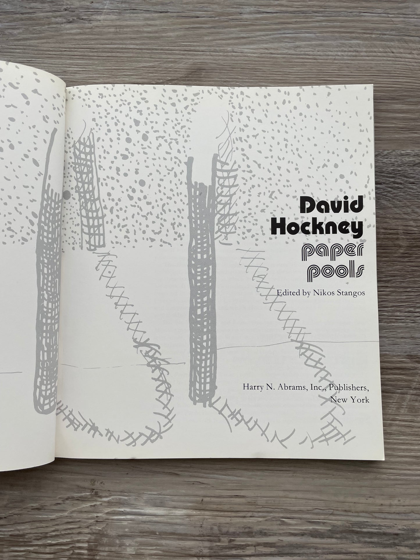 David Hockney book |  paper pools  |  1st edition, 1980